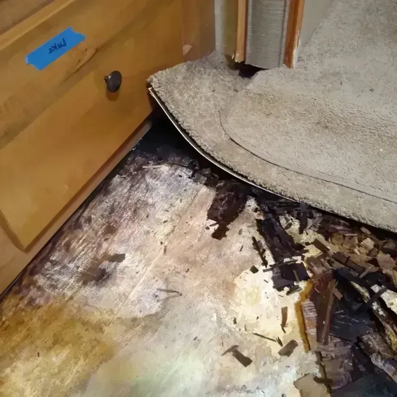 Best Wood Floor Water Damage Service in Franklin County, TN